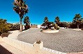 Superbe villa de 7 chambres avec piscine à Barbarroja in Alicante Dream Homes API 1122