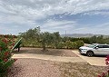 3 Bed 3 Bath Stunning Villa in Sax in Alicante Dream Homes API 1122