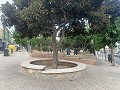 Amplio Piso de 3 Dormitorios en Aspe Centro con Garaje in Alicante Dream Homes API 1122