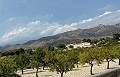 Gran oportunidad de negocio con este B&B de 6 dormitorios en Alicante in Alicante Dream Homes API 1122