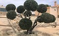 Gran oportunidad de negocio con este B&B de 6 dormitorios en Alicante in Alicante Dream Homes API 1122