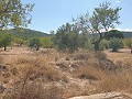 Baugrundstück in Biar in Alicante Dream Homes API 1122