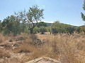 Baugrundstück in Biar in Alicante Dream Homes API 1122