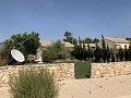 Beautiful renovated finca with pool in Alicante Dream Homes API 1122