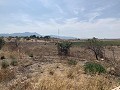 Beautiful renovated finca with pool in Alicante Dream Homes API 1122