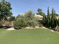 Beautiful renovated finca with pool in Alicante Dream Homes API 1122