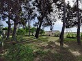 Detached Urban country house in Novelda in Alicante Dream Homes API 1122