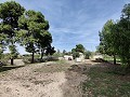 Detached Urban country house in Novelda in Alicante Dream Homes API 1122