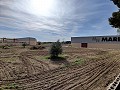Detached Urban country house in Novelda in Alicante Dream Homes API 1122