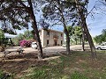 Detached Urban country house in Novelda in Alicante Dream Homes API 1122