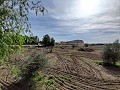 Detached Urban country house in Novelda in Alicante Dream Homes API 1122