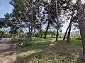 Detached Urban country house in Novelda in Alicante Dream Homes API 1122