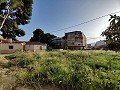 Terre dans Monovar - Revente in Alicante Dream Homes API 1122