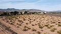 Baugrundstück nur für Neubau, in Paredon, Pinoso in Alicante Dream Homes API 1122