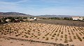 Baugrundstück nur für Neubau, in Paredon, Pinoso in Alicante Dream Homes API 1122