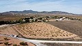Baugrundstück nur für Neubau, in Paredon, Pinoso in Alicante Dream Homes API 1122