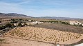 Baugrundstück nur für Neubau, in Paredon, Pinoso in Alicante Dream Homes API 1122