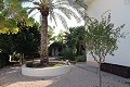 Magnífica villa ubicada en El Reloj (Fortuna) in Alicante Dream Homes API 1122
