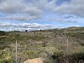 Villa de 3 chambres avec 11 acres de terrain in Alicante Dream Homes API 1122