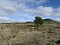Villa de 3 chambres avec 11 acres de terrain in Alicante Dream Homes API 1122