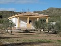 Villa de 2 chambres près de Yecla in Alicante Dream Homes API 1122