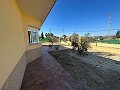 Prachtige villa met 3 slaapkamers en 2 badkamers in Fortuna in Alicante Dream Homes API 1122