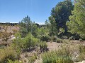 Detached country house between Monovar and Pinoso in Alicante Dream Homes API 1122