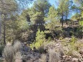 Detached country house between Monovar and Pinoso in Alicante Dream Homes API 1122