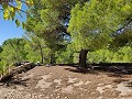 Detached country house between Monovar and Pinoso in Alicante Dream Homes API 1122