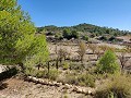 Detached country house between Monovar and Pinoso in Alicante Dream Homes API 1122