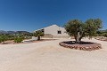 Beautiful Villa ready to move in to with Guest house and Pool in Alicante Dream Homes API 1122