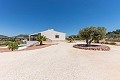 Beautiful Villa ready to move in to with Guest house and Pool in Alicante Dream Homes API 1122
