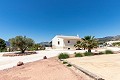 Beautiful Villa ready to move in to with Guest house and Pool in Alicante Dream Homes API 1122