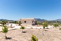 Beautiful Villa ready to move in to with Guest house and Pool in Alicante Dream Homes API 1122