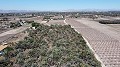 Terre dans Elche - Revente in Alicante Dream Homes API 1122