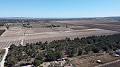 Terre dans Elche - Revente in Alicante Dream Homes API 1122