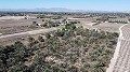 Terre dans Elche - Revente in Alicante Dream Homes API 1122