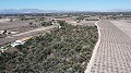 Terre dans Elche - Revente in Alicante Dream Homes API 1122