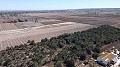 Terre dans Elche - Revente in Alicante Dream Homes API 1122