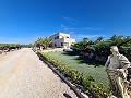 Stunning 5 Bed Villa with Pool in Alicante Dream Homes API 1122