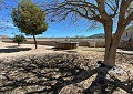 Belle ferme de 140 ans à Salinas in Alicante Dream Homes API 1122