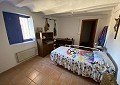 Belle ferme de 140 ans à Salinas in Alicante Dream Homes API 1122