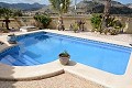Prachtige villa met 5 slaapkamers, 2 badkamers en zwembad in La Romana in Alicante Dream Homes API 1122