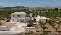 Dream New Build Villas in Alicante's beautiful countryside in Alicante Dream Homes API 1122