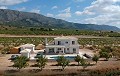 Dream New Build Villas in Alicante's beautiful countryside in Alicante Dream Homes API 1122