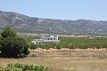 Beautiful new villa for sale in Pinoso in Alicante Dream Homes API 1122
