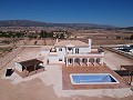 Beautiful new villa for sale in Pinoso in Alicante Dream Homes API 1122