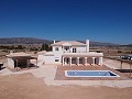 Beautiful new villa for sale in Pinoso in Alicante Dream Homes API 1122