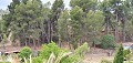 Adosado con apartamento independiente en Ayora in Alicante Dream Homes API 1122