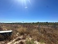 Long terrain à bâtir de 10 000 m² à Pinoso in Alicante Dream Homes API 1122